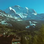 Hotel Alpenruhe - Vintage Design Wengen