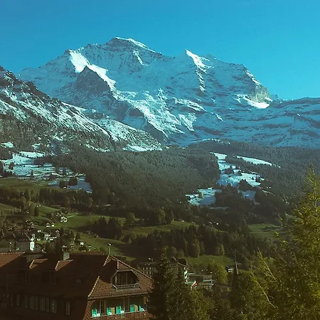 Hotel Alpenruhe - Vintage Design Wengen