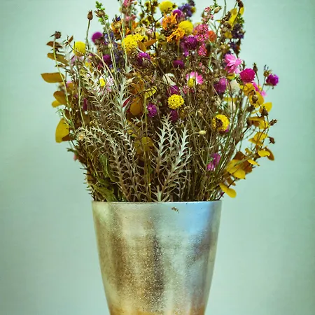 Alpenruhe - Vintage Design 3*