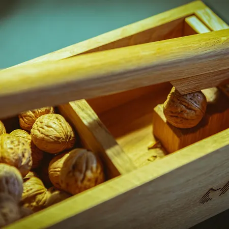 Alpenruhe - Vintage Design Hotell Wengen