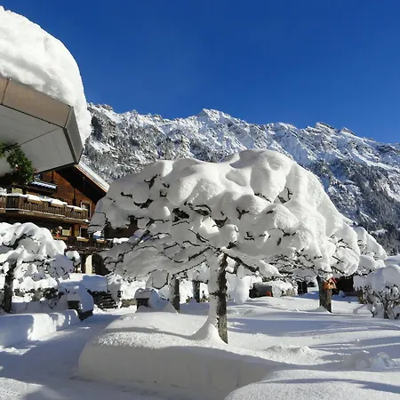 Alpenruhe - Vintage Design Hotell Wengen