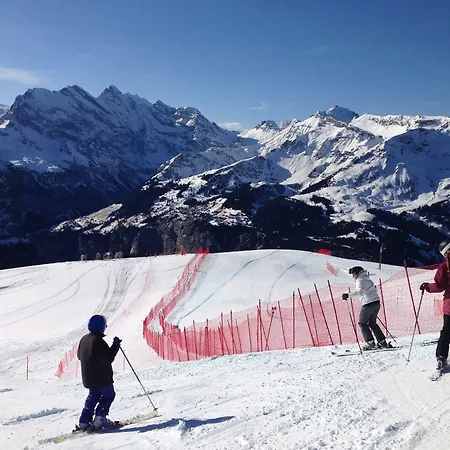 Alpenruhe - Vintage Design 3* Wengen