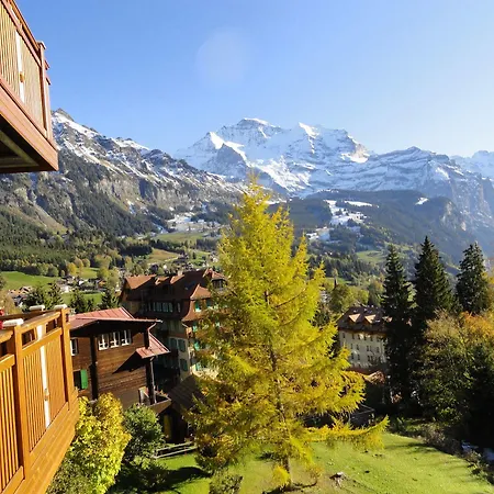 Hotel Alpenruhe - Vintage Design Wengen