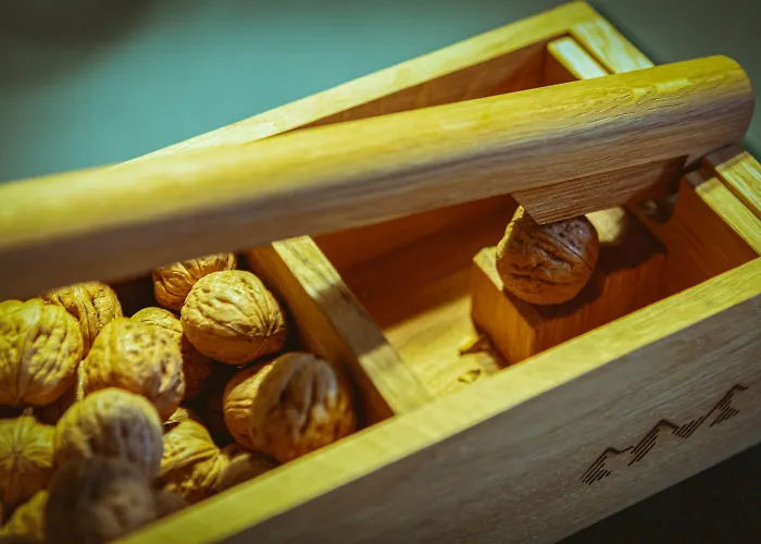 Alpenruhe - Vintage Design Szálloda Wengen