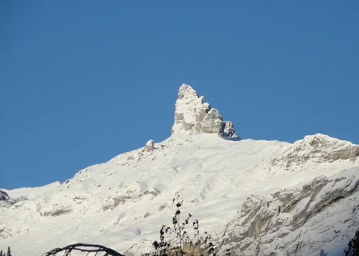 Alpenruhe - Vintage Design Wengen