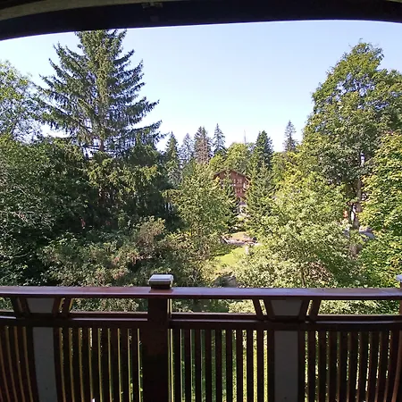 Alpenruhe - Vintage Design 3* וונגן